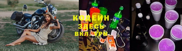 прущие грибы Краснослободск