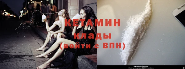 прущие грибы Краснослободск
