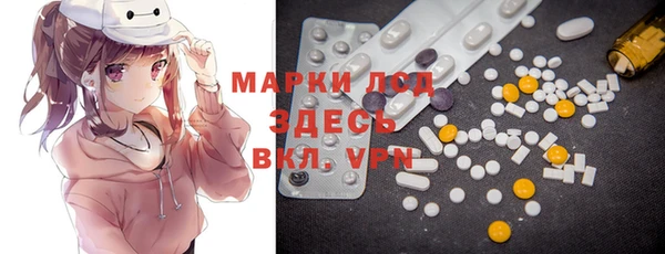 прущие грибы Краснослободск